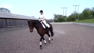 Video Player